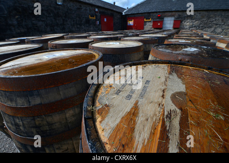 Il whiskey di barili dall America che era stato utilizzato come Boubon whiskey barili, ora in attesa di essere riutilizzato per lo Scotch whisky di malto Foto Stock