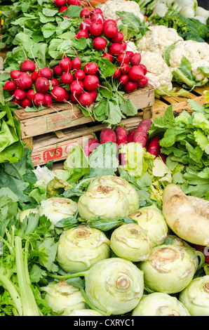 Appena raccolto il cavolo rapa, ravanelli e cavolfiore presso il settimanale mercato di agricoltori in Freiburg im Breisgau, Baden-Wuerttemberg Foto Stock