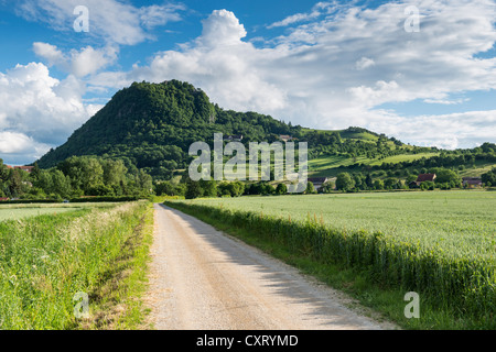 Strada di ghiaia, sentiero escursionistico che conduce al vulcano Hohenhewen, Hegau paesaggio, Singen, Baden-Wuerttemberg Foto Stock