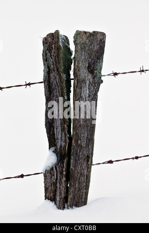 Palo da recinzione nella neve, Bergneustadt, Renania settentrionale-Vestfalia, Germania, Europa Foto Stock