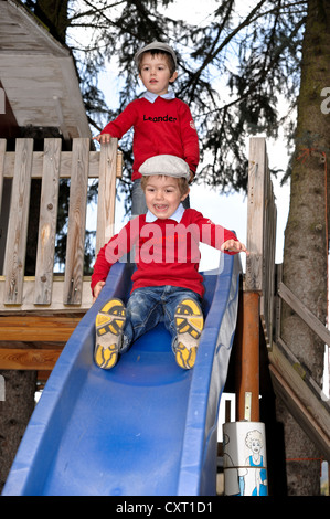 Twin boys, 4, indossando tappi piatte, scorrere una slitta nella parte anteriore di un albero di casa Foto Stock