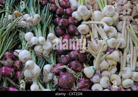 Vari tipi di cipolle e zenzero, stallo del mercato Foto Stock