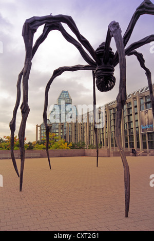 Maman, bronz scultura di un ragno gigante di fronte alla National Gallery of Canada a Ottawa Foto Stock