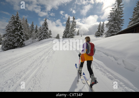 Donna con gli sci sci accanto alla pista di sci di fondo, regione di Salisburgo, Alpi calcaree a nord, Austria, Europa Foto Stock