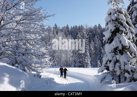 Pista per lo sci di fondo nei pressi di Kainisch, Ausseerland, Salzkammergut, Stiria, Austria, Europa Foto Stock