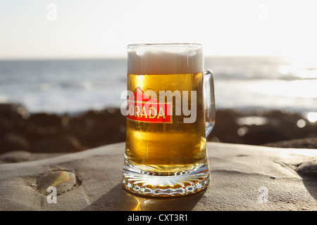 Dorada bicchiere da birra, la Palma Isole Canarie Spagna, Europa Foto Stock