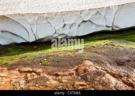 La neve che si scioglie in estate per rivelare il primo verde sotto il bordo di una spessa coltre di neve, nell'area geotermica di Foto Stock