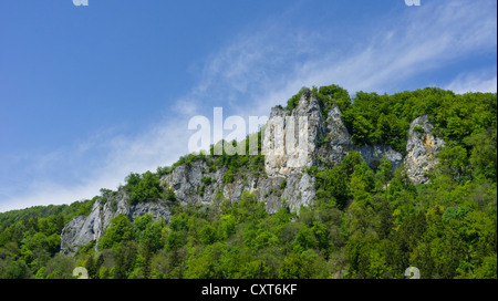 Eichfels rock, Danubio superiore Natura Park, Superiore Valle del Danubio, Baden-Wuerttemberg Foto Stock