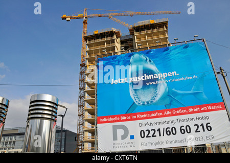 Sito in costruzione, Kranhaus, costruzione di gru a Rheinauhafen, Colonia, nella Renania settentrionale-Vestfalia, PublicGround Foto Stock