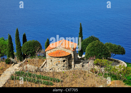 Villa con cipressi sulle scogliere in occidente, Chiessi, Isola d'Elba, Toscana, Italia, Europa Foto Stock
