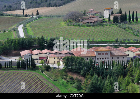 Vista della vigna del Castello di Brolio castello, Chianti area vitivinicola, Toscana, Italia, Europa Foto Stock