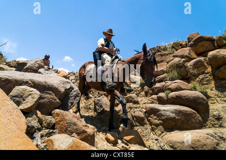 Uomo a cavallo, altopiani, Regno di Lesotho, Africa Foto Stock