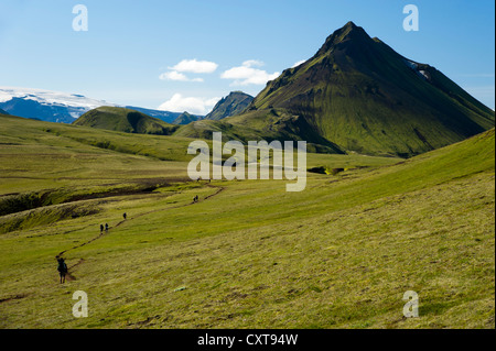 Gli escursionisti a piedi sul sentiero, montagne coperte di muschio sul Laugavegur Hiking trail, Álftavatn-Emstrur Foto Stock