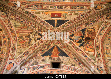 Soffitto a volta con affreschi nel Battisterio di San Giovanni, Cattedrale di Santa Maria Assunta, Cattedrale di Siena, Siena Foto Stock