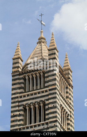 Il campanile, la torre campanaria, Cattedrale di Santa Maria Assunta a Siena, Toscana, Italia, Europa Foto Stock