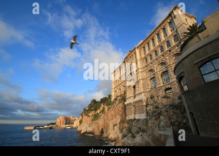 Museo Oceanografico, il Principato di Monaco e la Costa Azzurra, Mare Mediterraneo, Europa Foto Stock