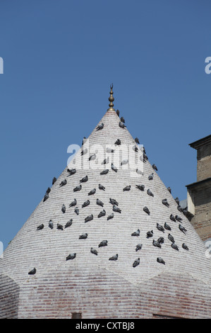 Tetto conico di Seljuk memorial tomba di Seyh Serafettin, del XIII secolo, con piccioni in centro a Konya, Turchia Foto Stock