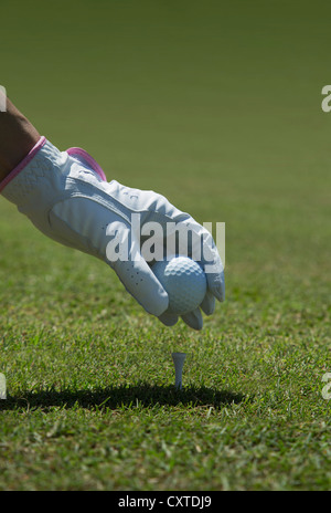 La mano guantata posizionando la pallina da golf sul raccordo a T Foto Stock