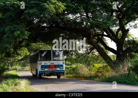 Indian bus / pullman viaggiano lungo una strada alberata in campagna. Andhra Pradesh, India Foto Stock