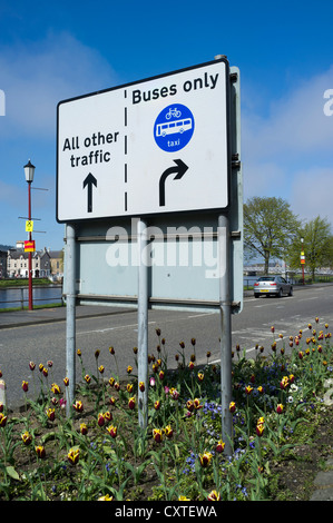 dh segnaletica stradale SEGNALI autobus UK solo segnaletica stradale limitare traffico strada segnale bus corsia