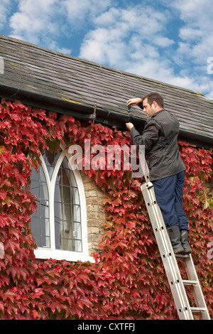 DIY di fissaggio maschio grondaie per tetto su edificio del periodo coperto con Boston Ivy Foto Stock