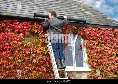 DIY di fissaggio maschio grondaie per tetto su edificio del periodo coperto con Boston Ivy Foto Stock