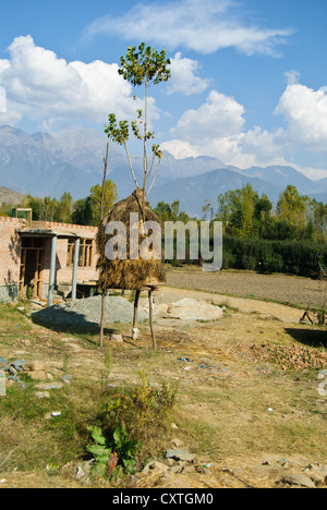 Una vista di allevatore locale casa sul modo di Pahalgam Foto Stock