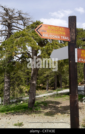 Dh TROODOS CIPRO montagne cipriota Kalidonia sentiero natura segnaletica Foto Stock