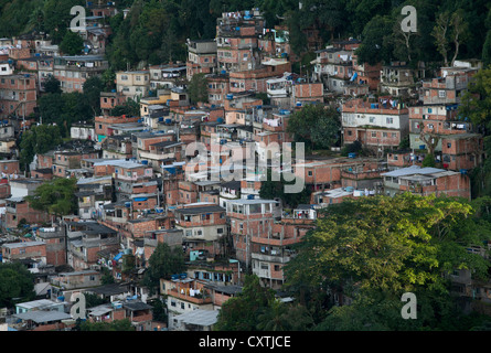Morro da Babilonia favela di Rio de Janeiro in Brasile Foto Stock
