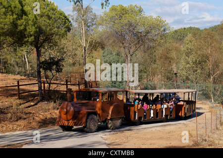 Attrazione turistica, western carro dai giorni del selvaggio west, a La Reserva Sevilla El Castillo De Las Guardas, Spagna Foto Stock