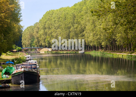 Laterale del canale a la Garonne (Canal du Midi) vicino a castets en dorthe, Gironde, Francia Foto Stock