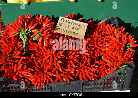 Il peperoncino rosso in stallo del mercato, Sirmione sul Lago di Garda, provincia di Brescia, regione Lombardia, Italia Foto Stock