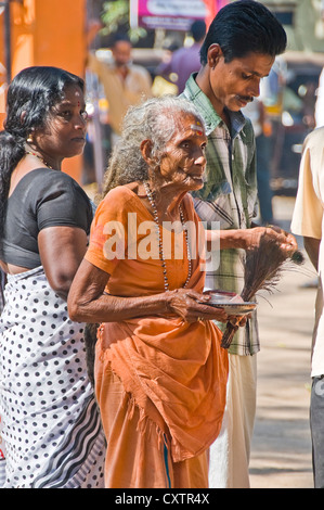 Ritratto verticale di una femmina di pellegrino fuori l'ingresso dell'Mannarasala Sree Nagaraja tempio in Haripad, Kerala. Foto Stock