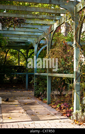 Una pergola in legno in un giardino inglese Foto Stock
