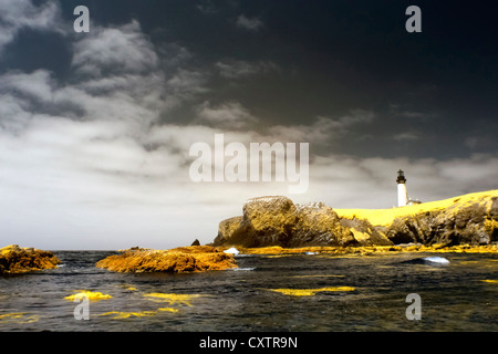 Vista della spiaggia, Surf e formazioni rocciose, Yaquina Capo Faro, Oregon Coast, Oregon, Stati Uniti d'America, fotografia a raggi infrarossi Foto Stock