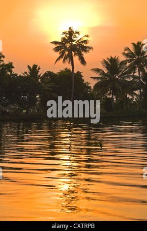 Vista verticale di un glorioso tramonto nelle lagune del Kerala. Foto Stock