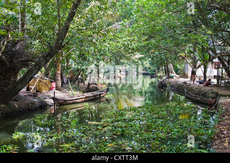 In orizzontale ampia angolazione di una waterside villaggio nelle lagune del Kerala. Foto Stock