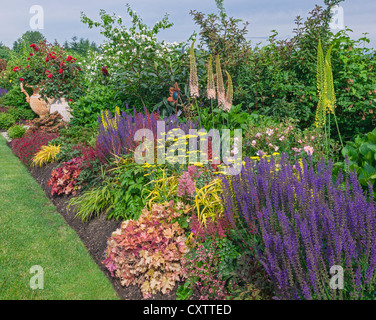 Vashon Island, WA: estate perenne frontiera giardino dotato di salvia, heuchera, achillea e eremurus. Foto Stock