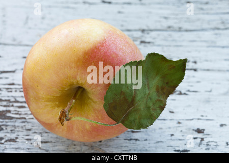 Gala di apple a due colori freschi con foglia sul paese tabella Foto Stock