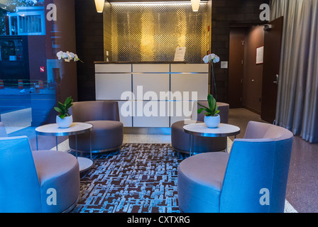 New York City, New York, Stati Uniti, Reception interna, progetto Housing Condos, 'LiveTen23', Chelsea area, Manhattan, arredamento di design Foto Stock