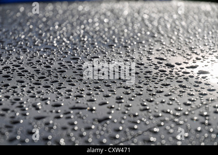 Lowestoft, Suffolk, Inghilterra: gocce di pioggia formano un disegno astratto sul tetto di un'automobile Foto Stock