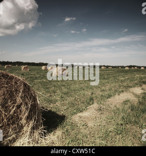 Pagliaio di rotolamento sul campo estivo Foto Stock