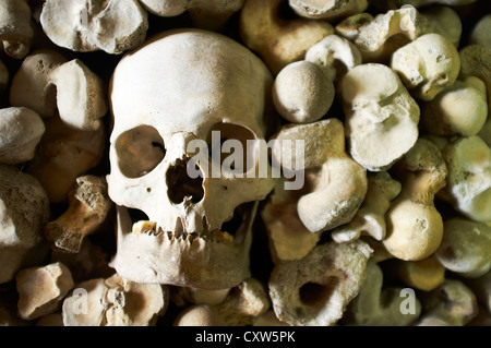 Le ossa umane nella cripta di San Leonardo la Chiesa Hythe Kent REGNO UNITO Foto Stock