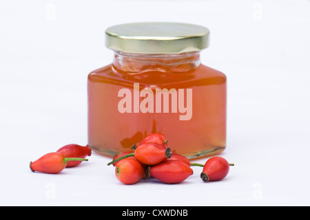 In casa rosa canina e apple jelly, con cinorrodi su uno sfondo bianco. Foto Stock
