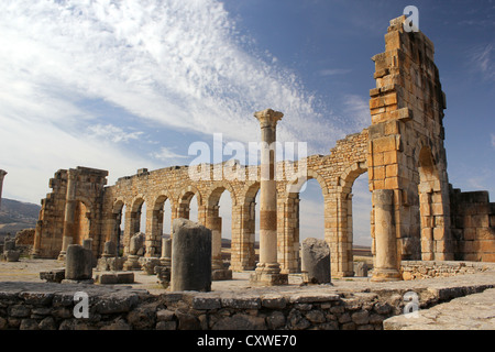 Basilica e Forum a Volubilis Sito Patrimonio Mondiale dell'UNESCO in Marocco Foto Stock