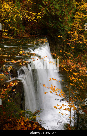 Hoggs cade sul fiume Boyne Flesherton Gray County Ontario Canada arancione con foglie di autunno Foto Stock