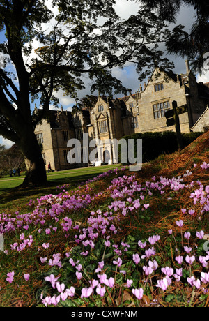 Media Photocall - il sole autunnale mette in risalto i colori e i visitatori di Wakehurst, nel Sussex, mentre i fiori ciclamini sono in piena fioritura Foto Stock