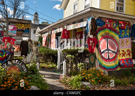 Un negozio principale a Woodstock, New York state, nelle Catskills Foto Stock