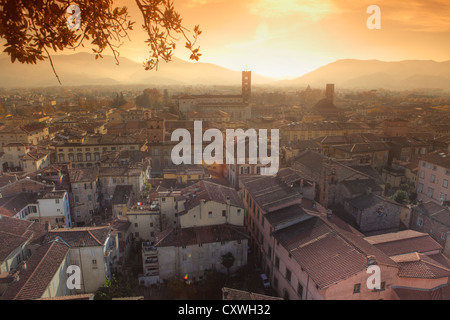 La città di Lucca dalla Torre Guinigi, Lucca, Toscana, Italia Foto Stock