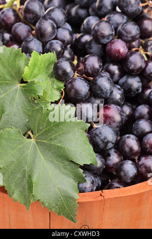 Close-up di uva da vino in un barile di legno Foto Stock